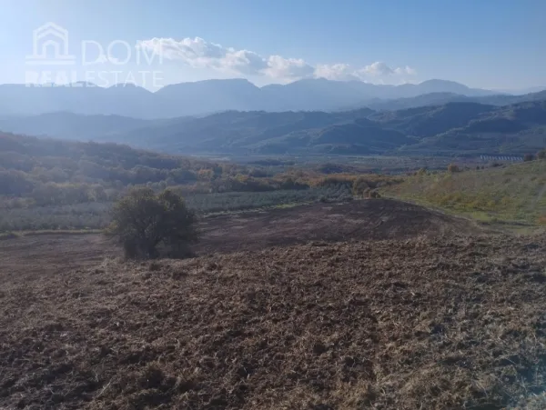 Αγροτεμάχιο 94000τ.μ.  - 4