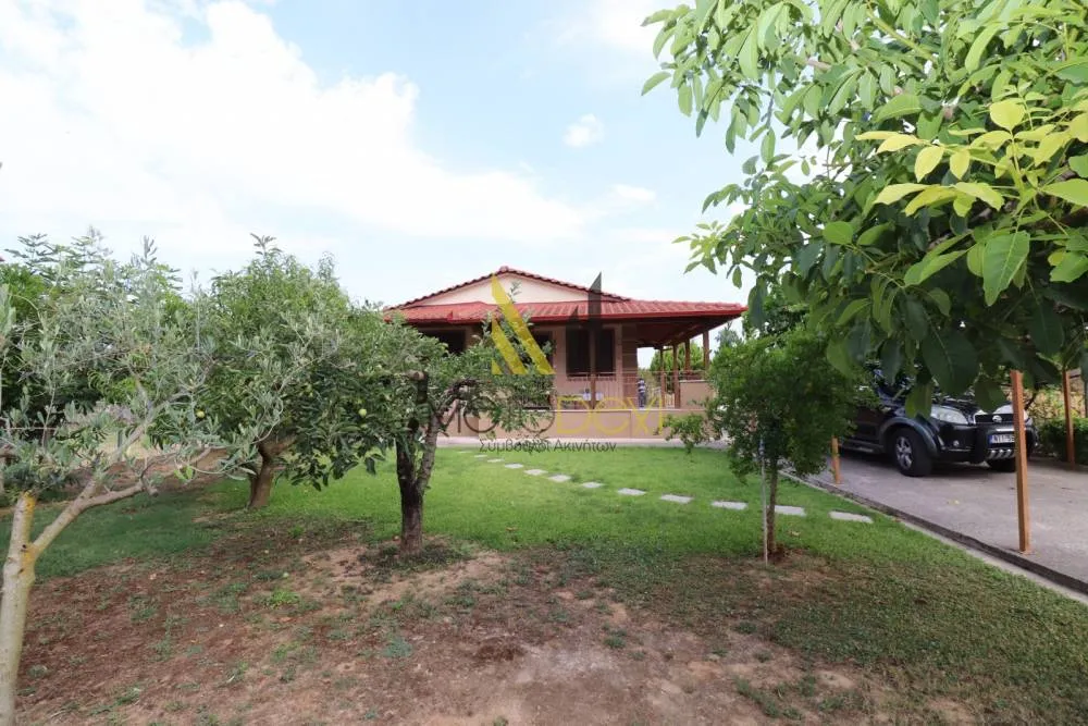 Detached house 45m²  - 4
