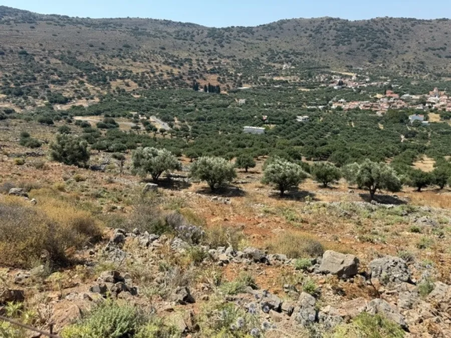 Plot 819m²  - 3