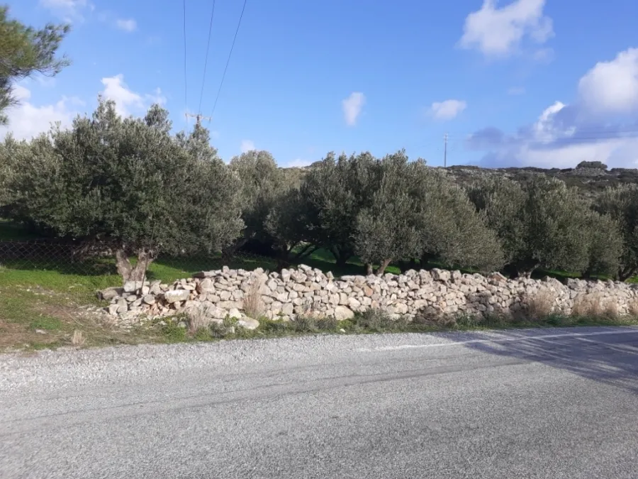 Plot 3000m²  - 5