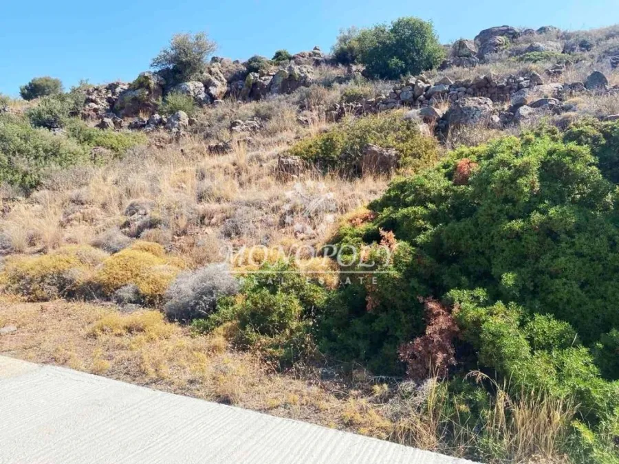 Οικόπεδο 500τ.μ.  - 3