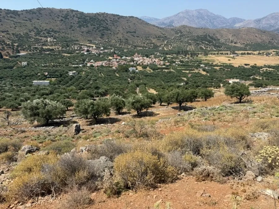 Plot 1780m²  - 3