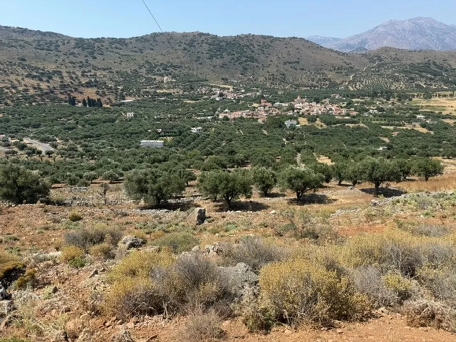 Plot 1780m²  - 4