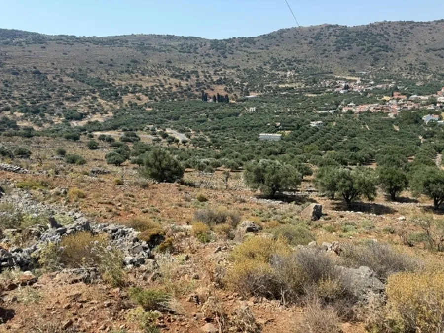 Plot 1780m²  - 5