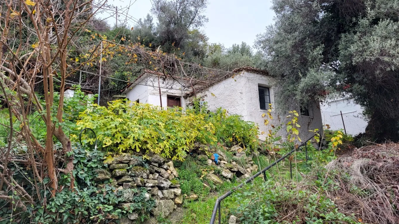 Detached house 60m²  - 2