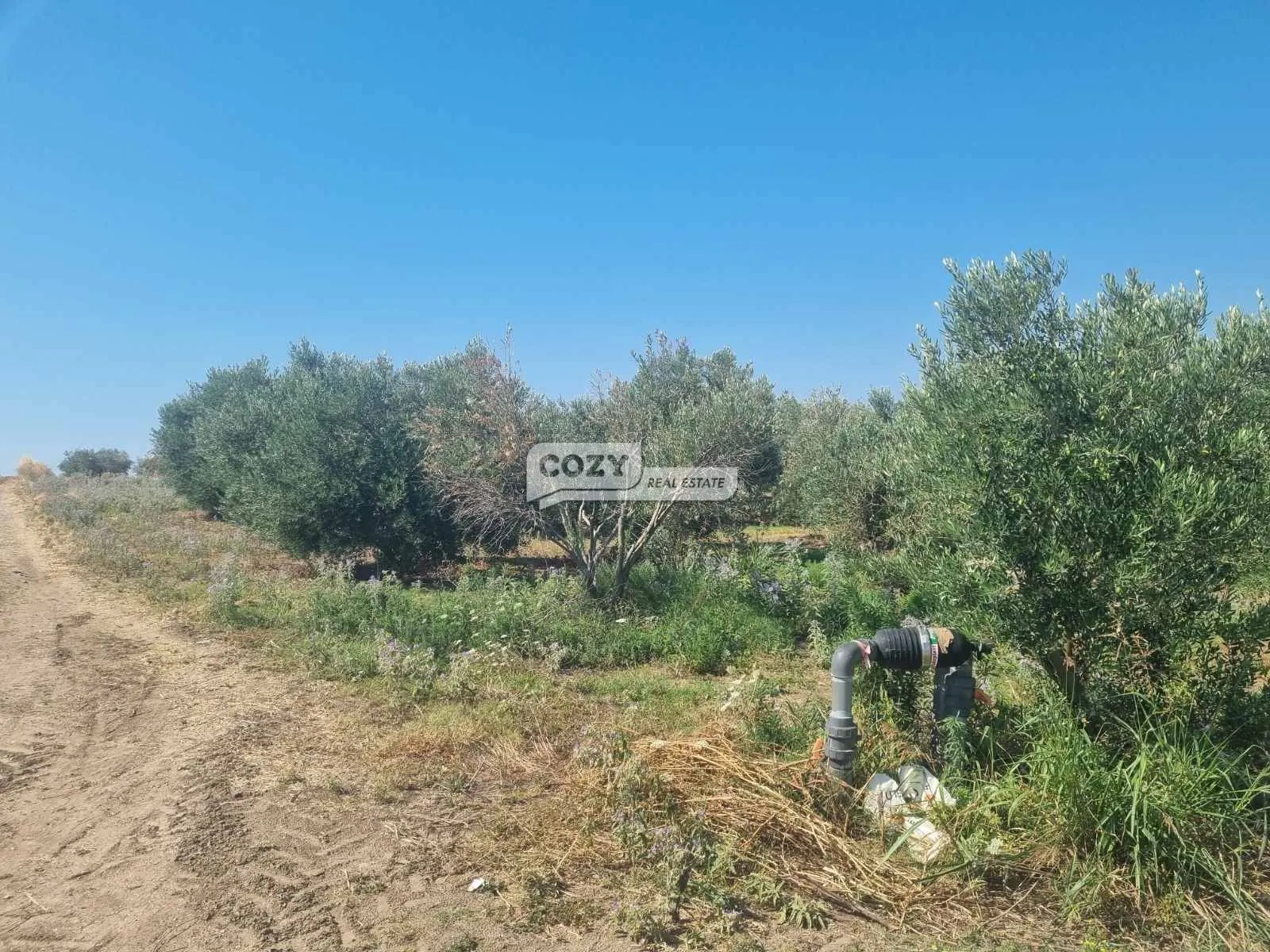 Αγροτεμάχιο 16800τ.μ.  - 4