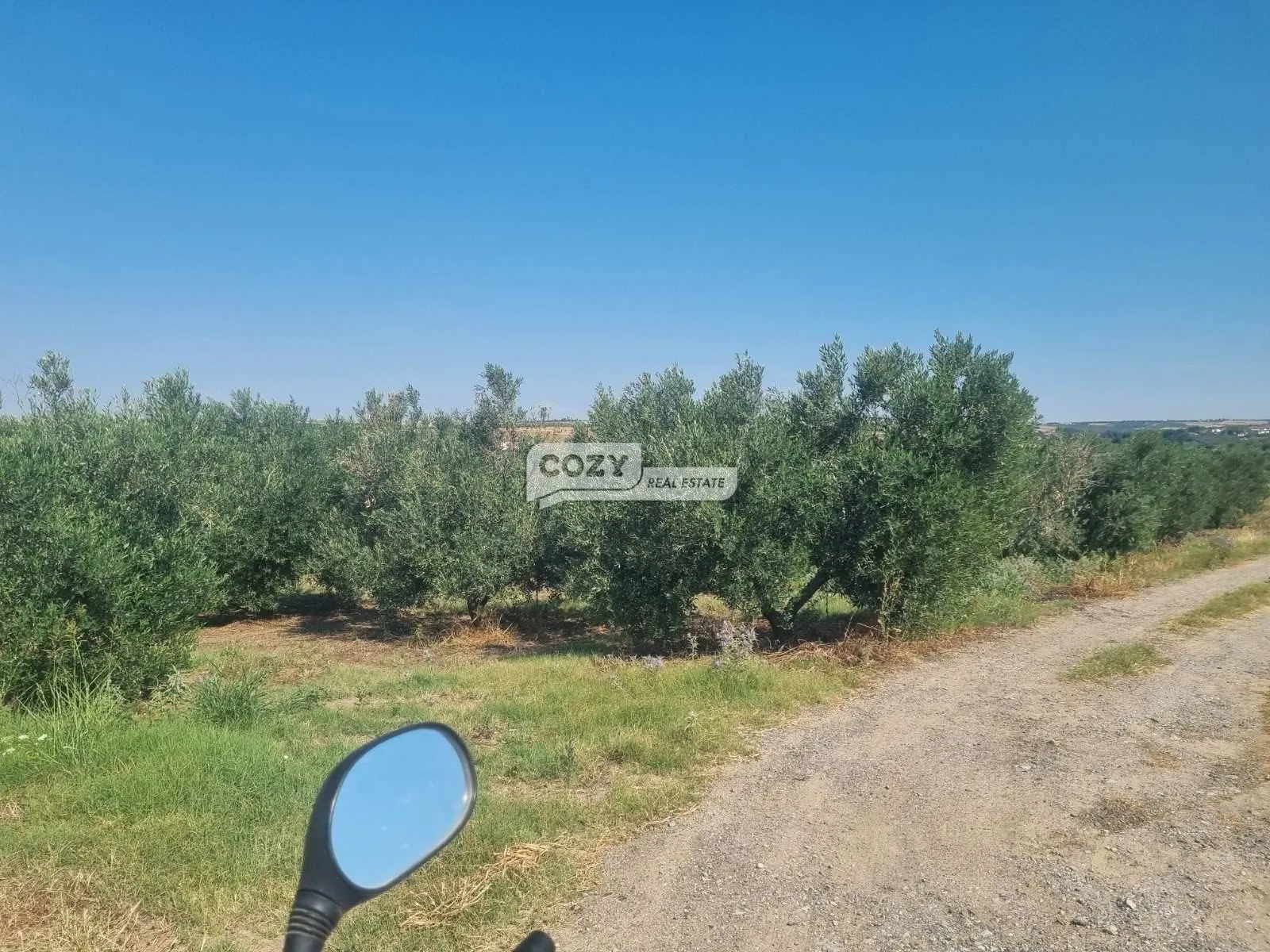 Αγροτεμάχιο 16800τ.μ.  - 5