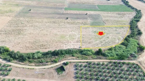 Land Parcel 7865m²  - 3