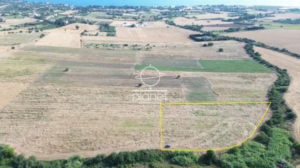 Land Parcel 7865m²  - 4