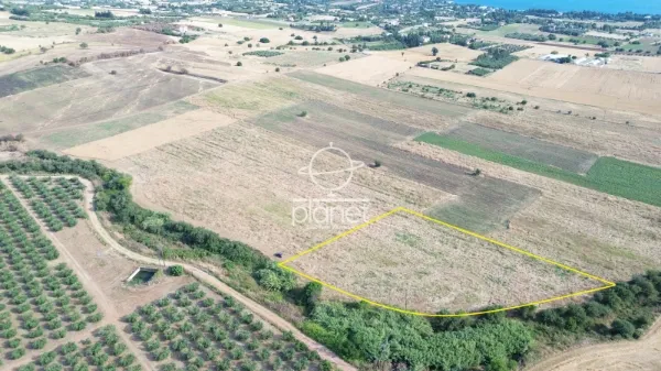Land Parcel 7865m²  - 5
