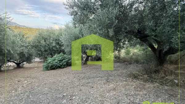 Plot 859m²  - 3