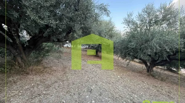 Plot 859m²  - 5