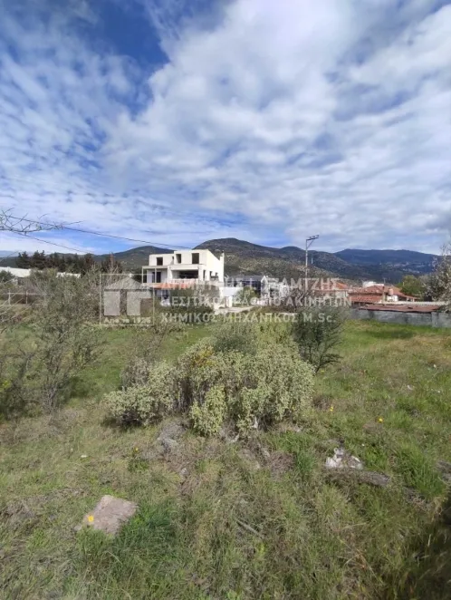 Plot 808m²  - 2