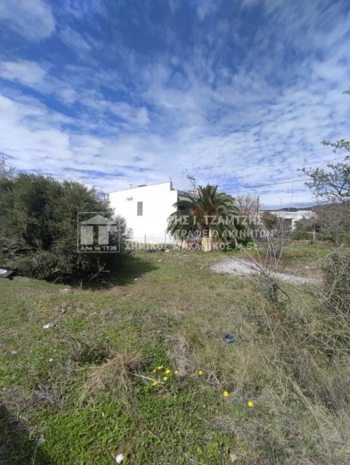 Plot 808m²  - 3
