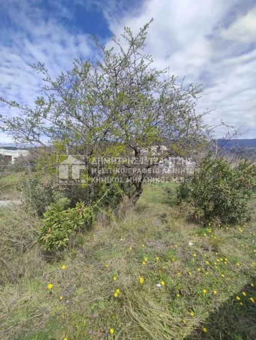 Plot 808m²  - 4