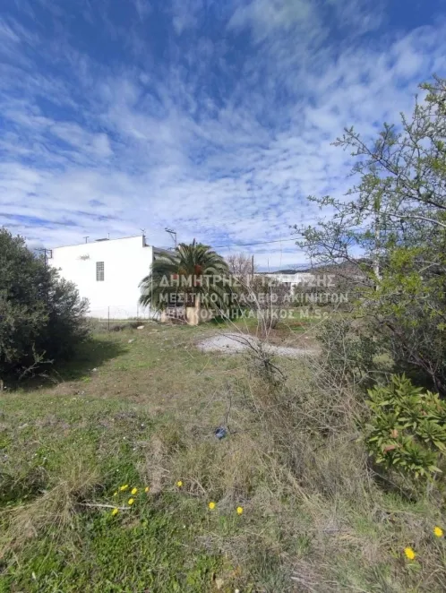 Plot 808m²  - 5