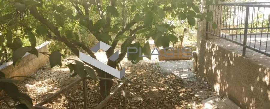 Κατάστημα 59τ.μ.  - 4