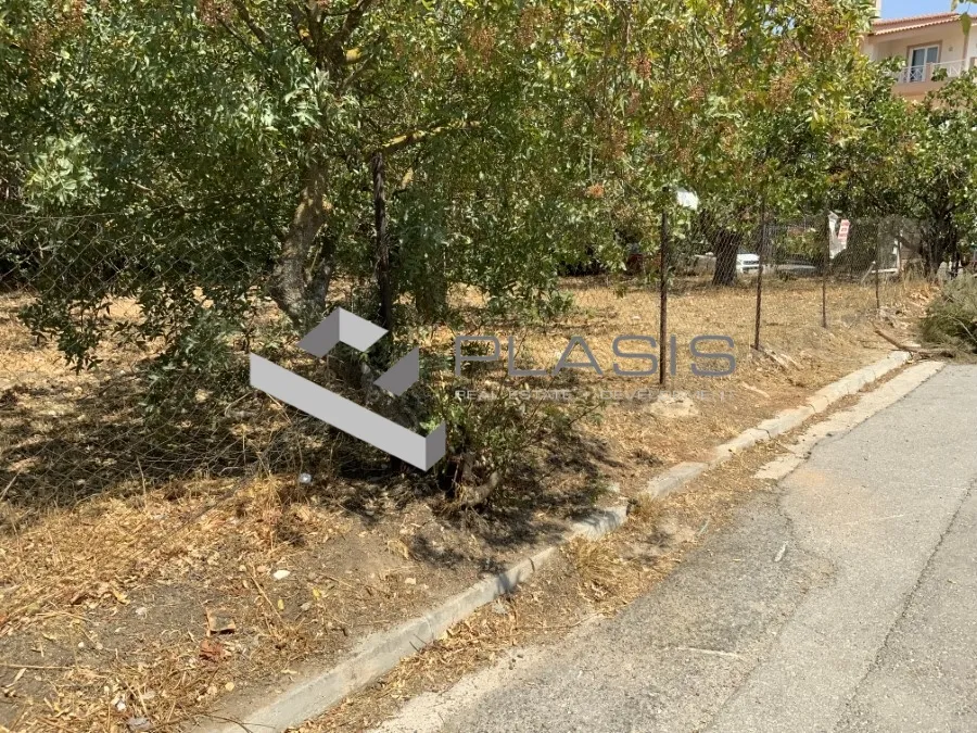 Οικόπεδο 650τ.μ.  - 2