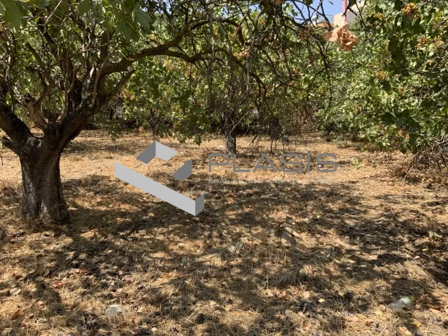 Οικόπεδο 650τ.μ.  - 3