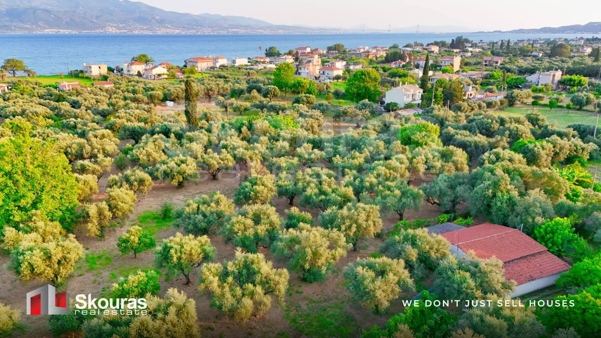 Οικόπεδο 4026τ.μ.  - 2