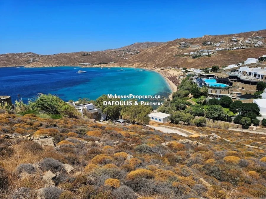 Οικόπεδο 8063τ.μ.  - 3