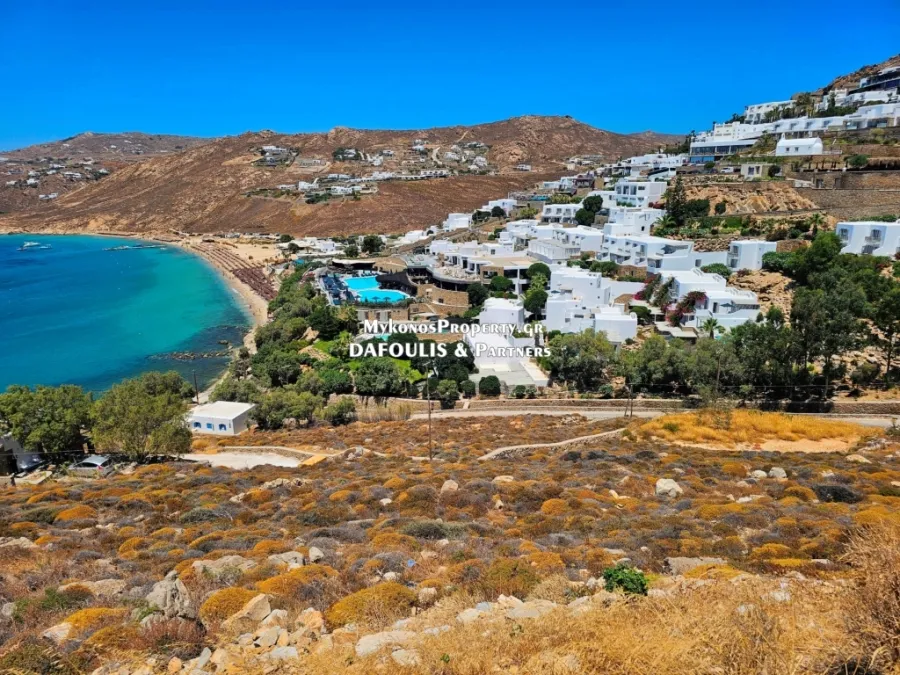Οικόπεδο 8063τ.μ.  - 5