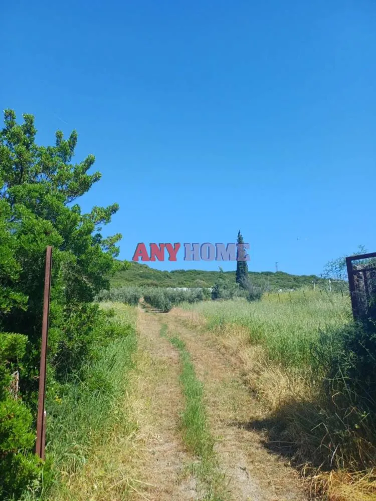 Αγροτεμάχιο 6937τ.μ.  - 3