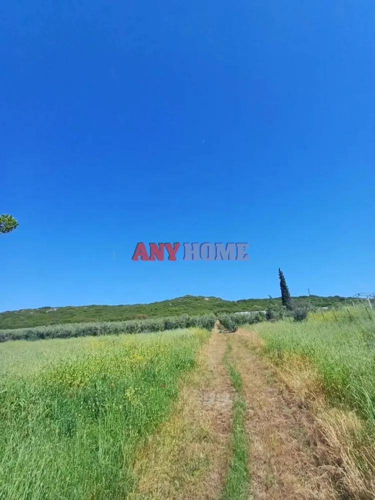 Αγροτεμάχιο 6937τ.μ.  - 4