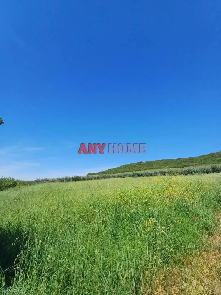 Αγροτεμάχιο 6937τ.μ.  - 5