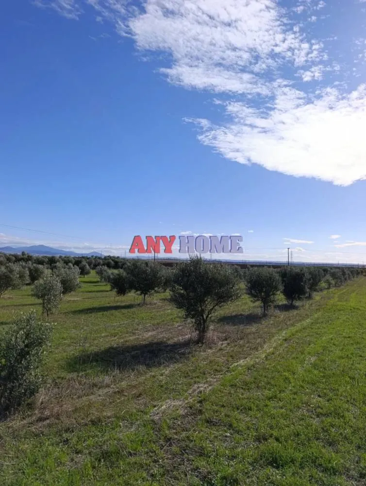 Αγροτεμάχιο 11200τ.μ.  - 2