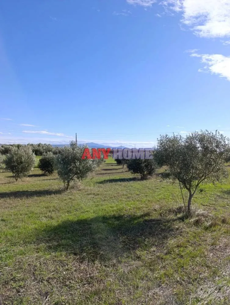 Αγροτεμάχιο 11200τ.μ.  - 3