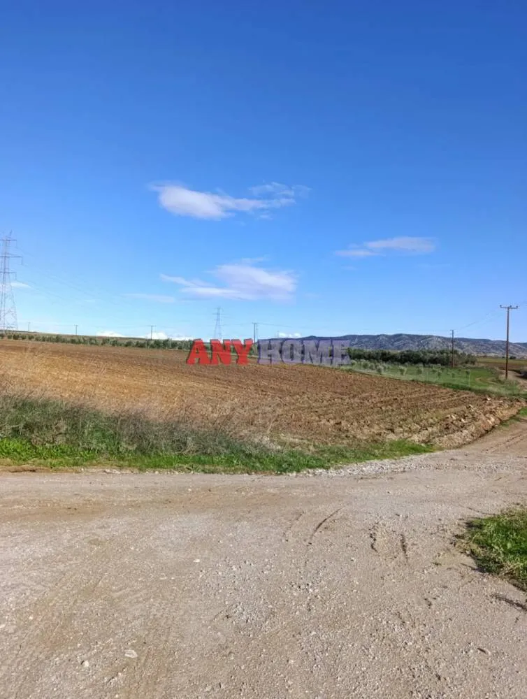 Αγροτεμάχιο 11200τ.μ.  - 4