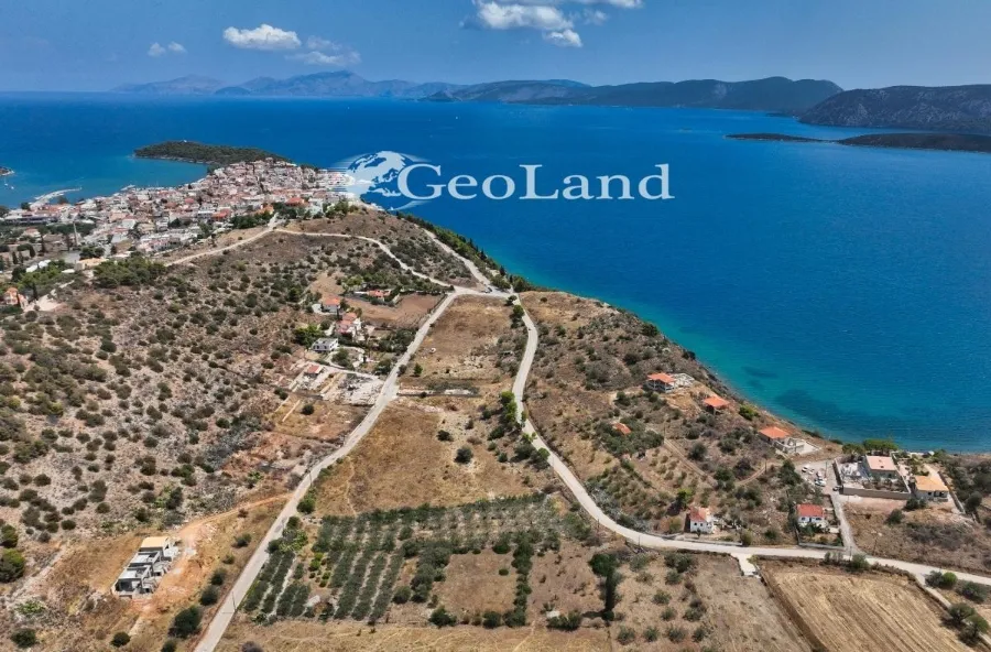 Αγροτεμάχιο 1340τ.μ.  - 4