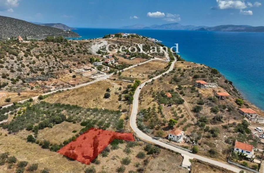 Αγροτεμάχιο 1340τ.μ.  - 5