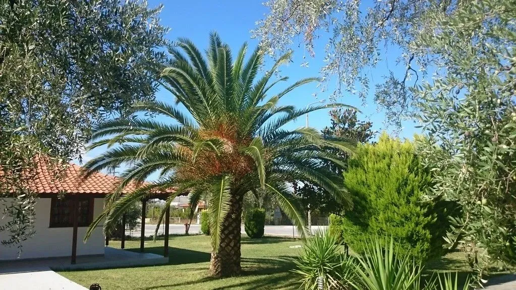 Other .. 250m²  - 4