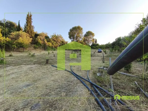 Οικόπεδο 4627τ.μ.  - 4