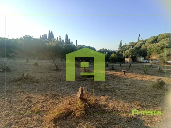Οικόπεδο 4627τ.μ.  - 5