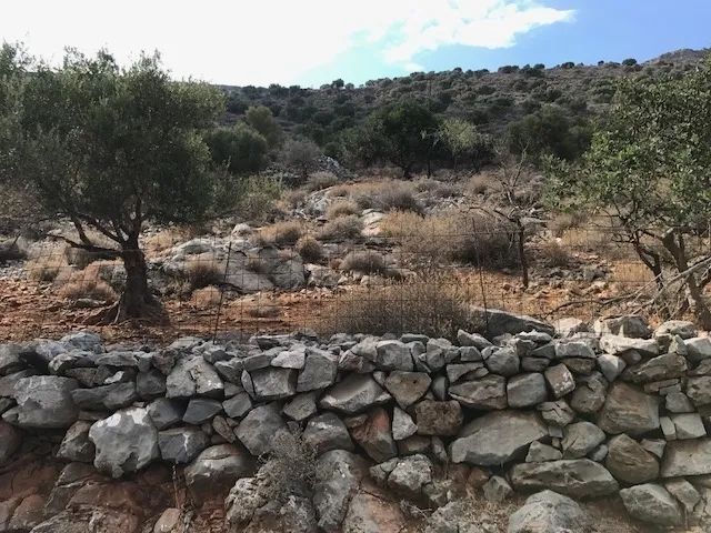 Plot 30000m²  - 3