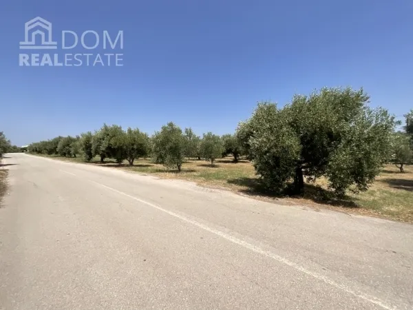 Land Parcel 13567m²  - 2