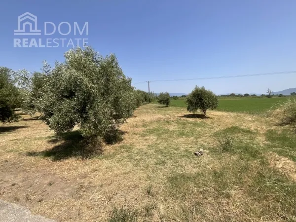 Land Parcel 13567m²  - 3