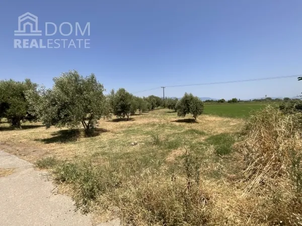 Land Parcel 13567m²  - 4