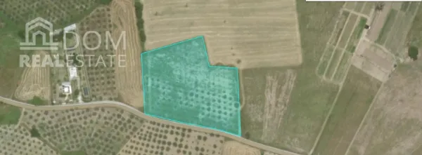 Land Parcel 13567m²  - 5