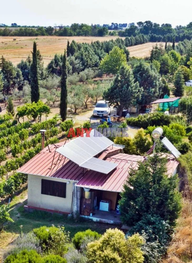 Αγροτεμάχιο 3750τ.μ.  - 3