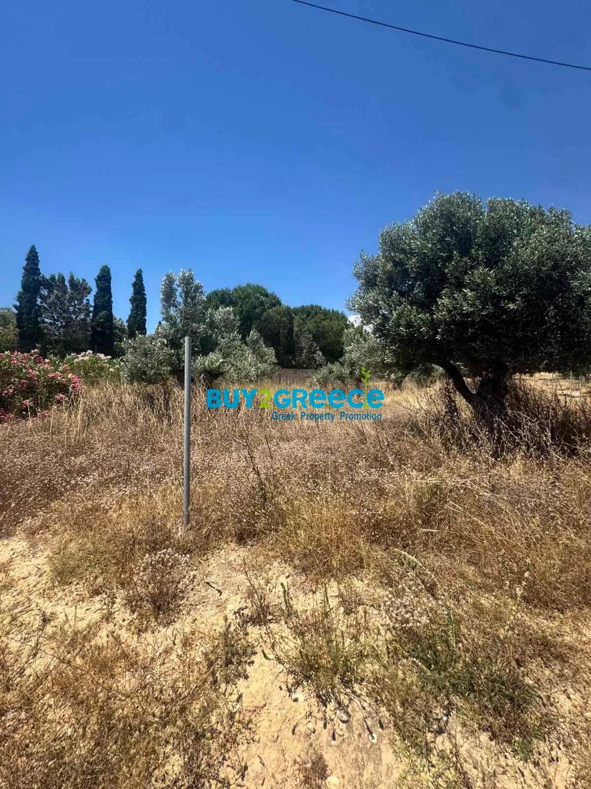 Αγροτεμάχιο 2300τ.μ.  - 2