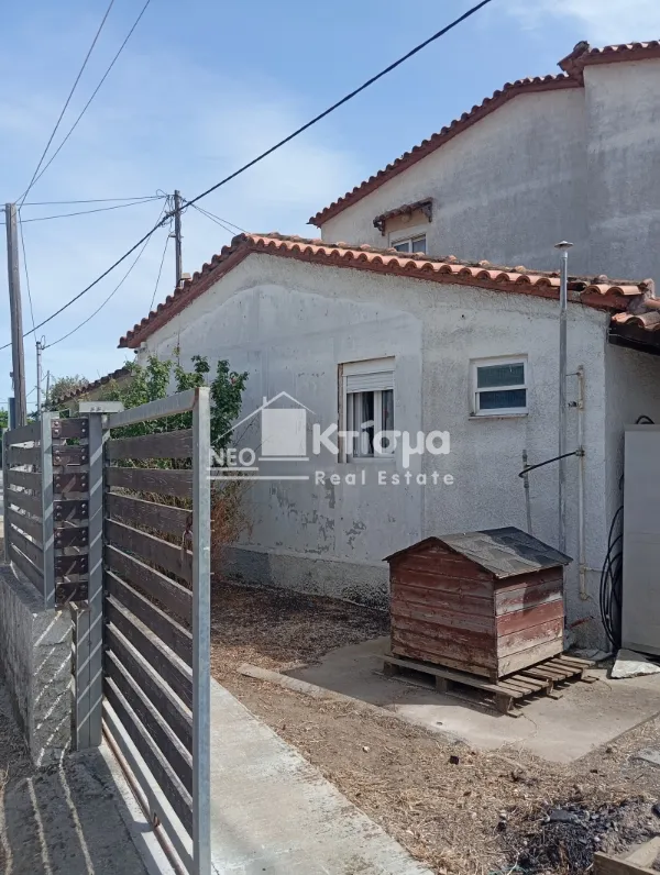 Μονοκατοικία 160τ.μ.  - 4