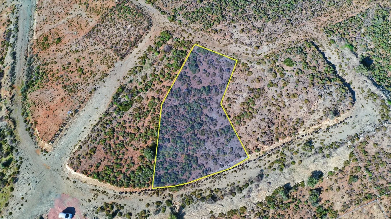 Plot 999m²  - 2