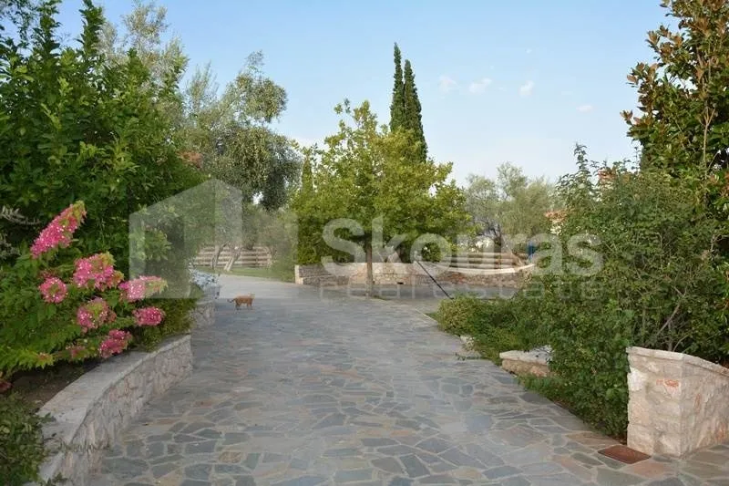 Detached house 240m²  - 5