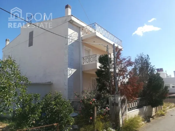 Detached house 576m²  - 2