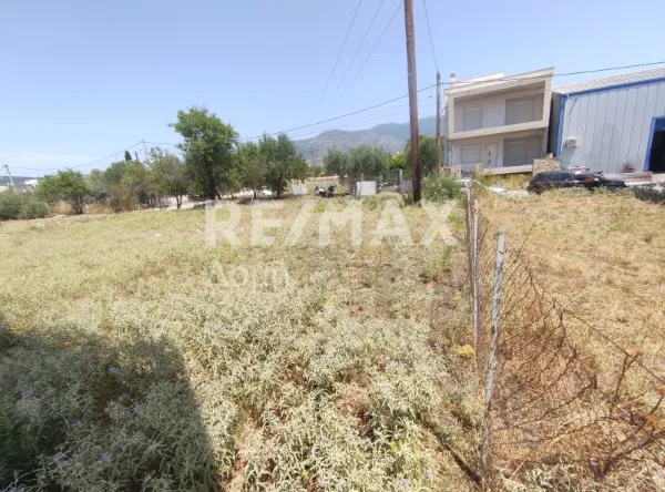 Οικόπεδο 247τ.μ.  - 4