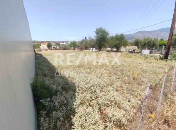 Οικόπεδο 247τ.μ.  - 5